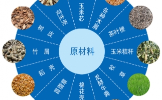 生物質(zhì)能源利用技術(shù)現(xiàn)狀及進(jìn)展